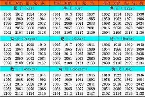 1989年出生属什么|1989属什么生肖？详细解析1989年的生肖归属